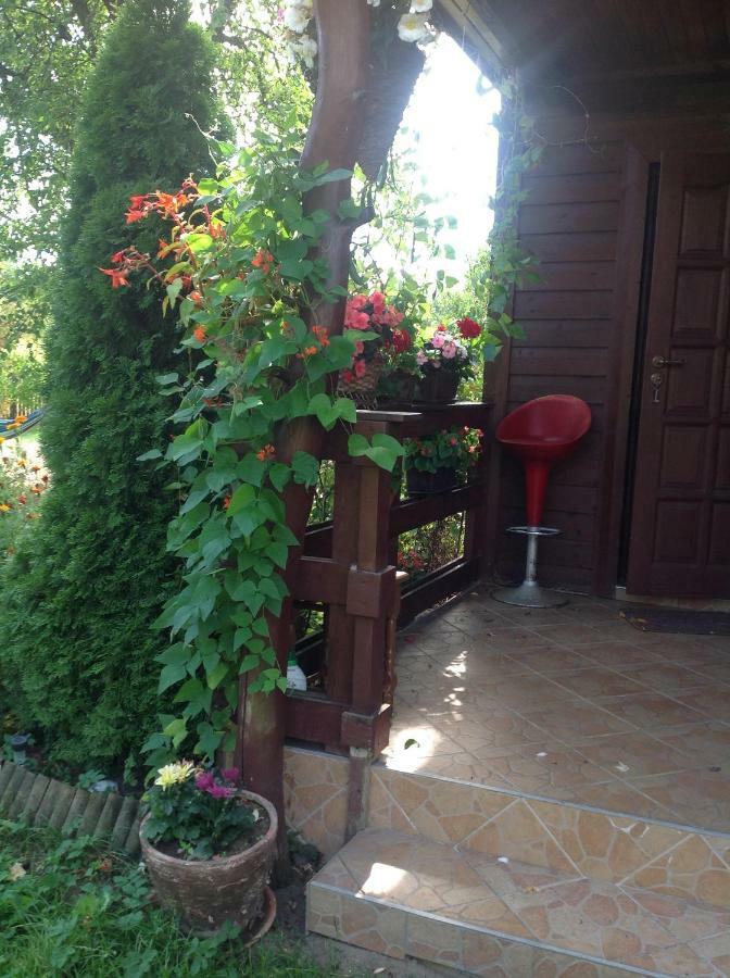 Dom Na Skraju Puszczy Bialowieskiej Narewka Dış mekan fotoğraf