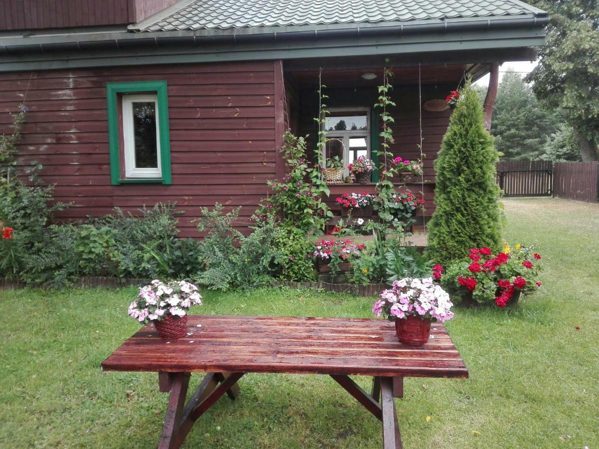 Dom Na Skraju Puszczy Bialowieskiej Narewka Dış mekan fotoğraf